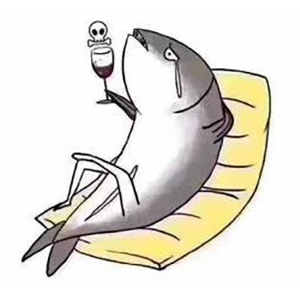 飞翔的球王