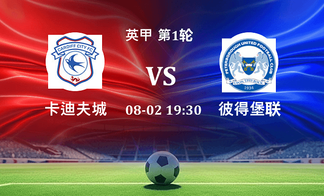 卡迪夫城 VS 彼得堡联伤病