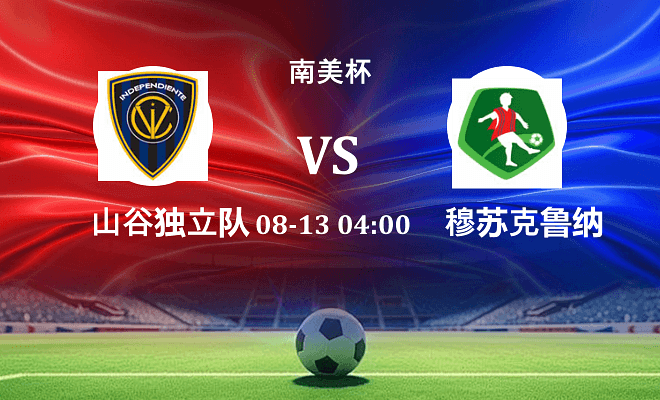 山谷独立 VS 穆苏克鲁纳伤病