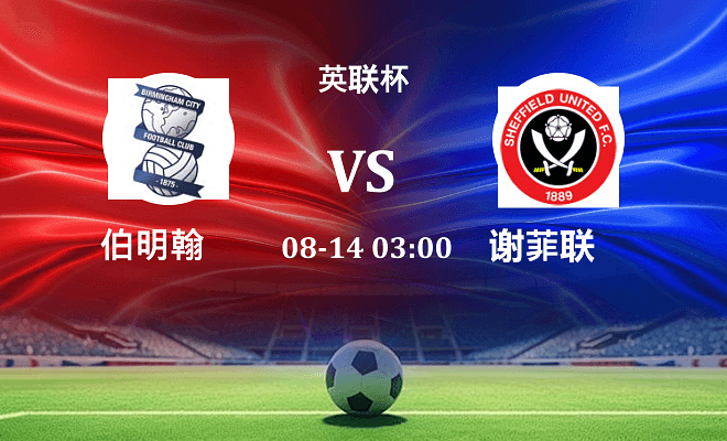 伯明翰 VS 谢菲联伤病