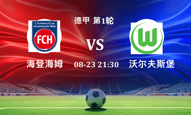 海登海姆 VS 沃尔夫斯堡伤病