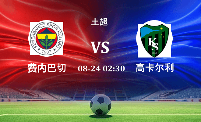 费内巴切 VS 高卡尔利最新阵容
