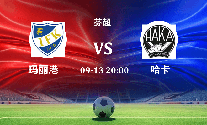 玛丽港 VS 哈卡伤病