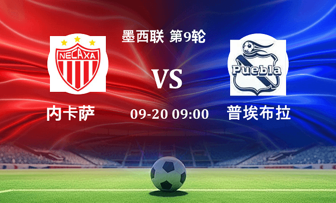 内卡萨 VS 普埃布拉伤病