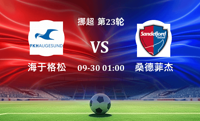 海于格松 VS 桑德菲杰伤病