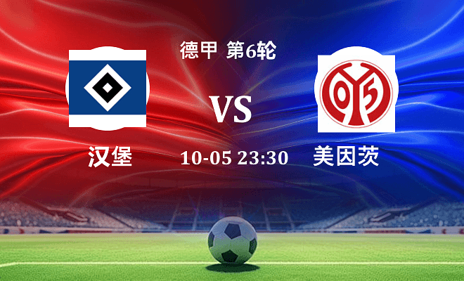 汉堡 VS 美因茨伤病