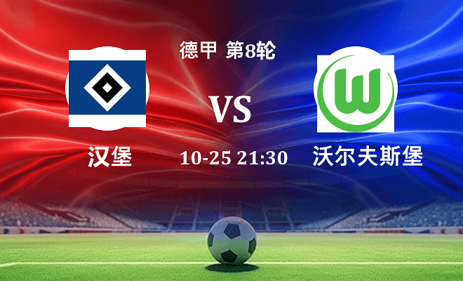 汉堡 VS 沃尔夫斯堡伤病