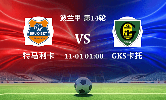 特马利卡 VS GKS卡托威斯最新阵容
