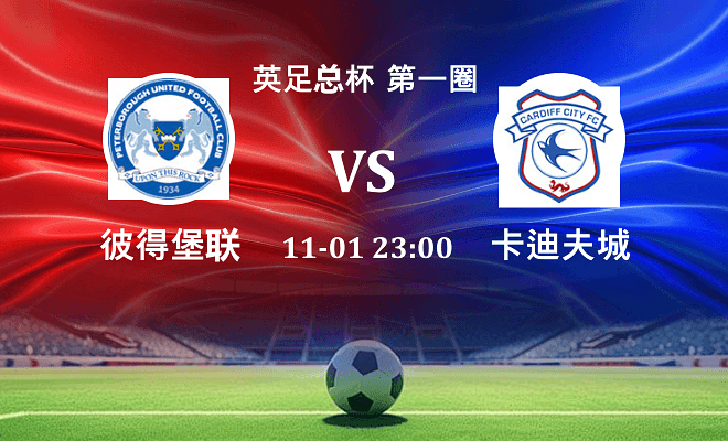 彼得堡联 VS 卡迪夫城伤病