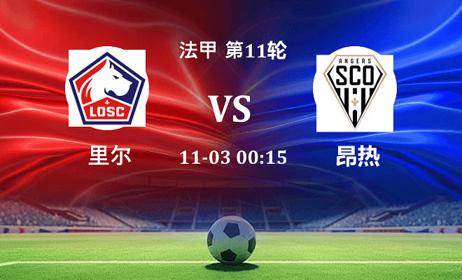 里尔 VS 昂热伤病