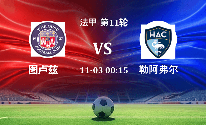 图卢兹 VS 勒阿弗尔伤病