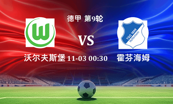 沃尔夫斯堡 VS 霍芬海姆伤病