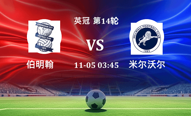 伯明翰 VS 米尔沃尔伤病