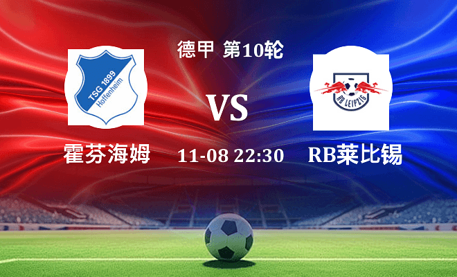 霍芬海姆 VS RB莱比锡伤病