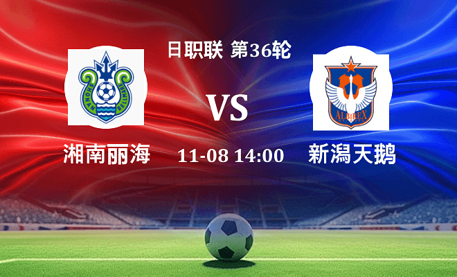 湘南丽海 VS 新潟天鹅伤病