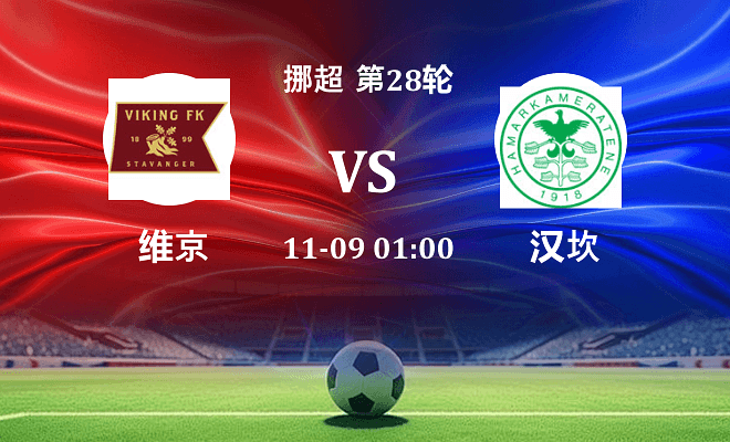 维京 VS 汉坎伤病