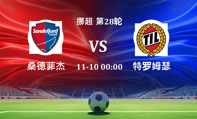桑德菲杰 VS 特罗姆瑟伤病