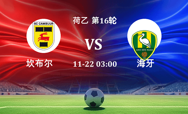 坎布尔 VS 海牙伤病