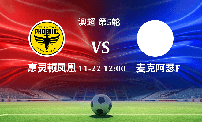 惠灵顿凤凰 VS 麦克阿瑟FC伤病