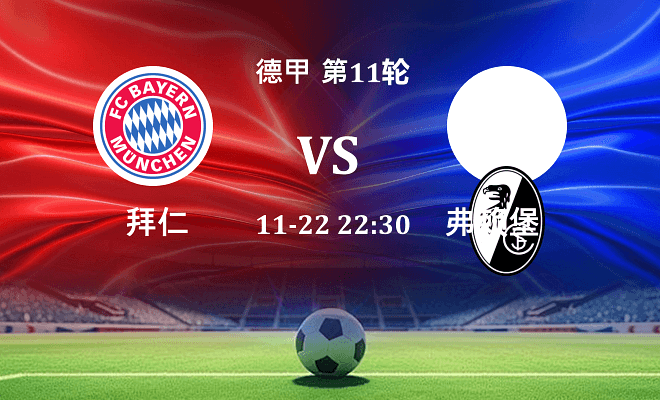 拜仁 VS 弗赖堡伤病