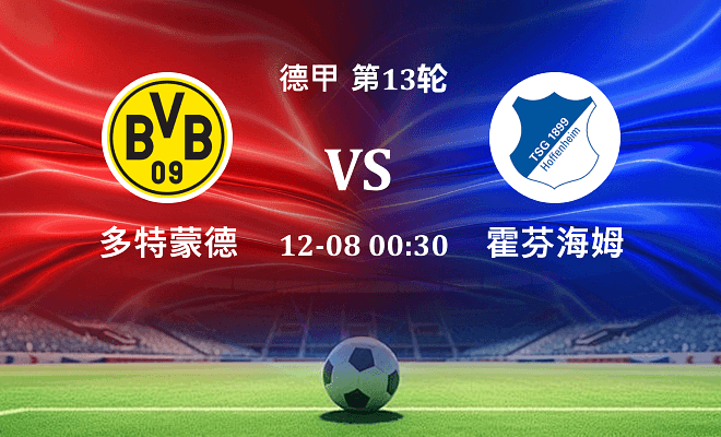 多特蒙德 VS 霍芬海姆伤病