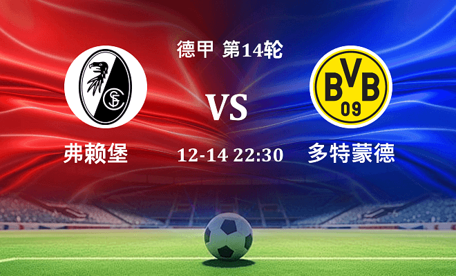 弗赖堡 VS 多特蒙德伤病