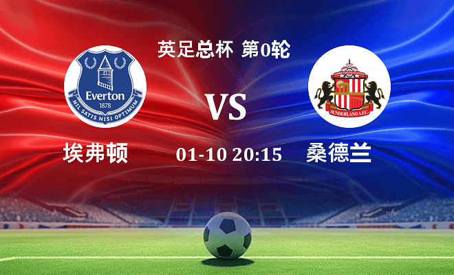 埃弗顿 VS 桑德兰伤病