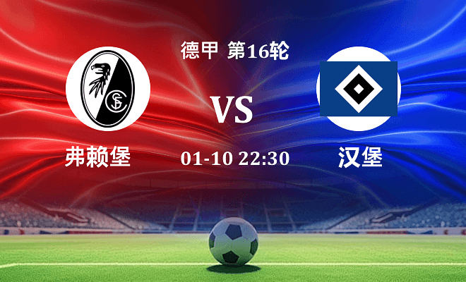 弗赖堡 VS 汉堡伤病