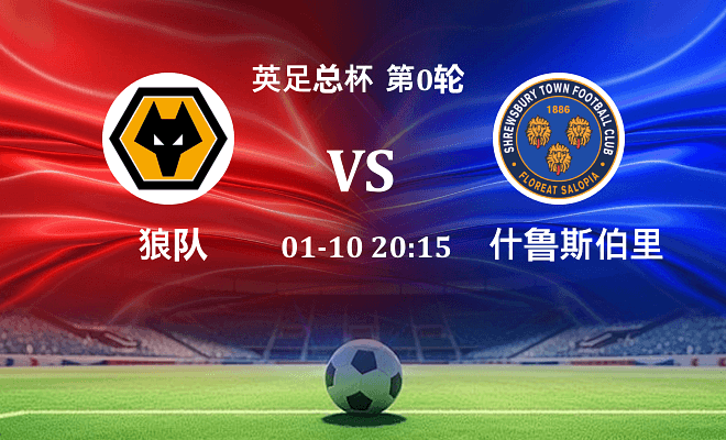 狼队 VS 什鲁斯伯里伤病