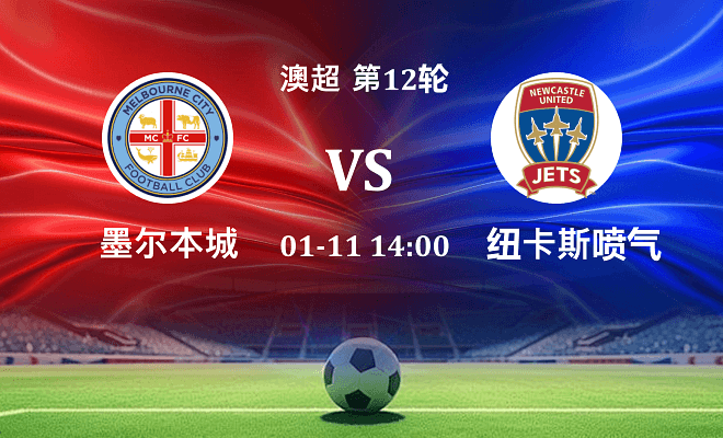 墨尔本城 VS 纽卡斯尔喷气机伤病