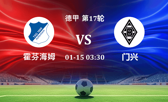 霍芬海姆 VS 门兴伤病